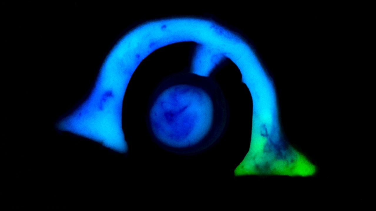 Turquoise glowing luminescent pigment 100gr - Image 21