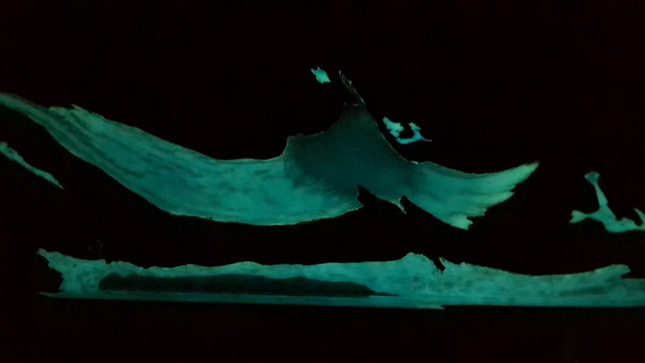 Turquoise glowing luminescent pigment 100gr - Image 10