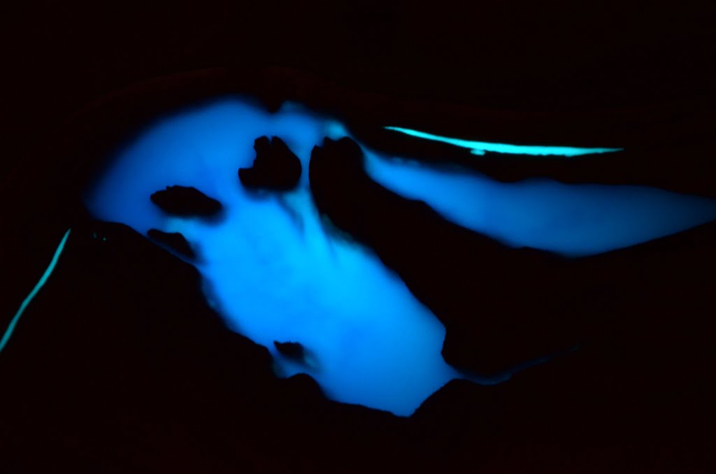 Turquoise glowing luminescent pigment 100gr - Image 25