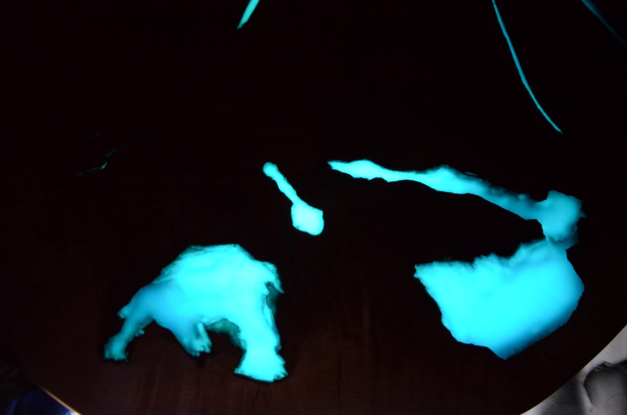 Turquoise glowing luminescent pigment 100gr - Image 6