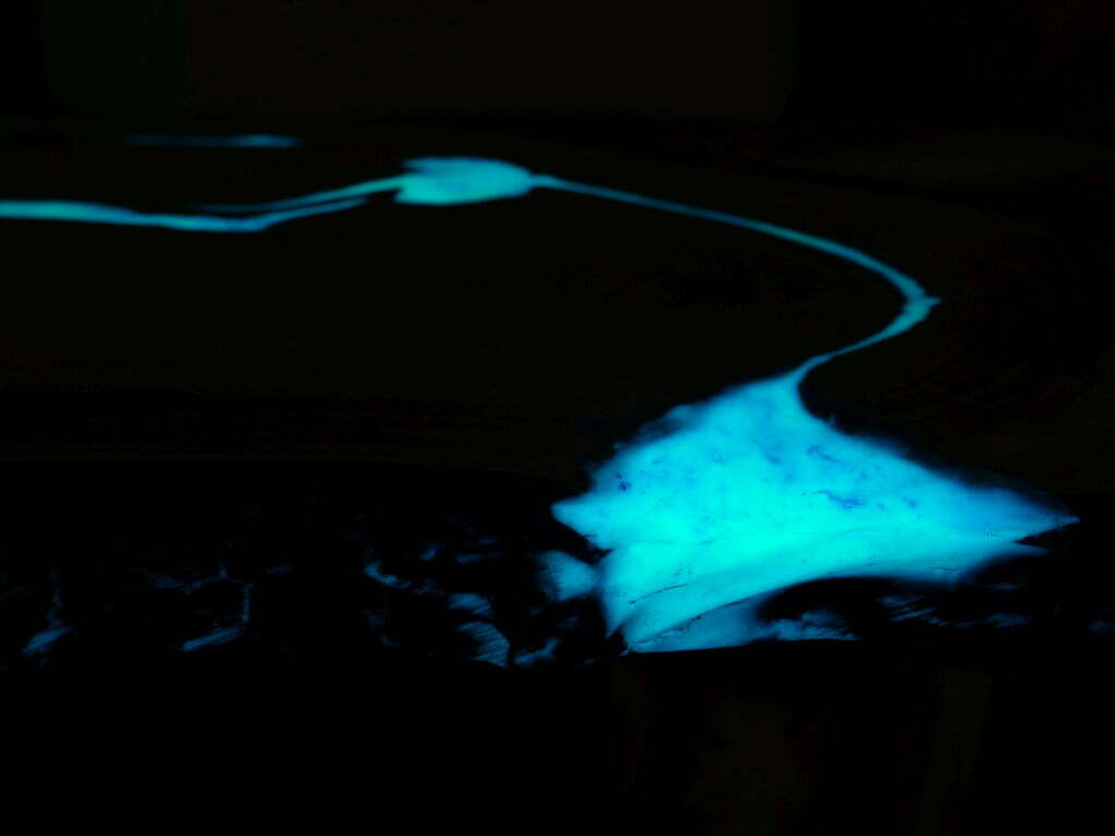 Turquoise glowing luminescent pigment 100gr - Image 19